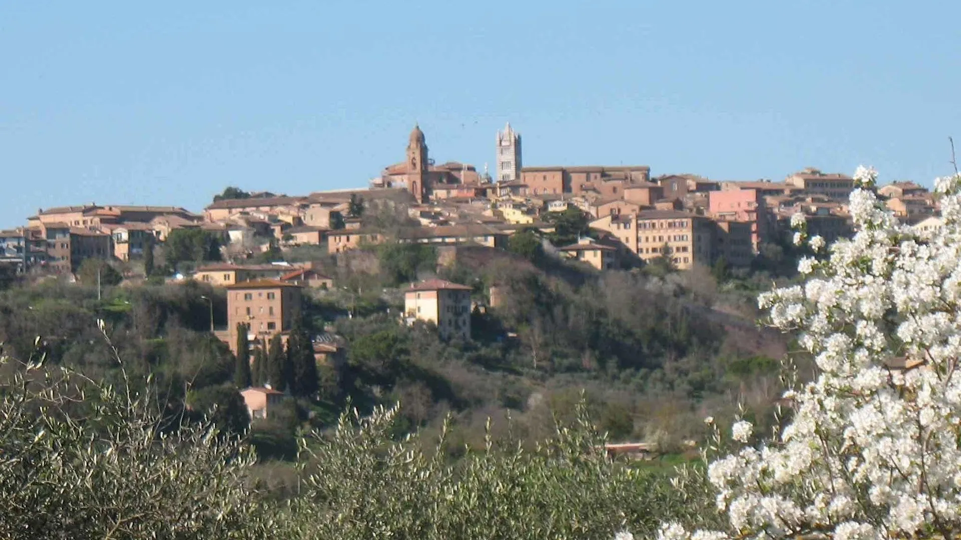 Farm stay Agriturismo La Torretta Villa Siena Italy