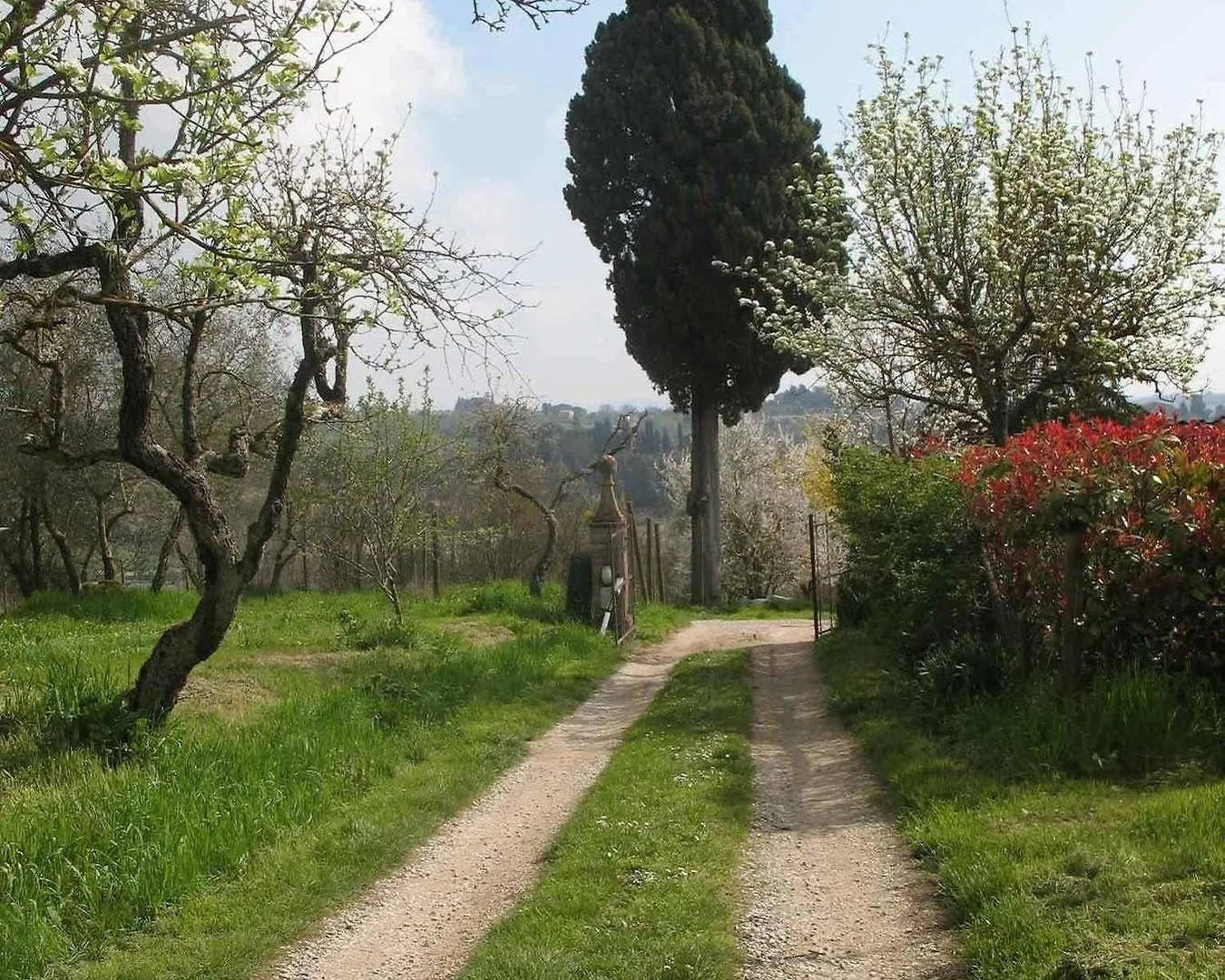 Vakantieboerderij Agriturismo La Torretta Costalpino Italië