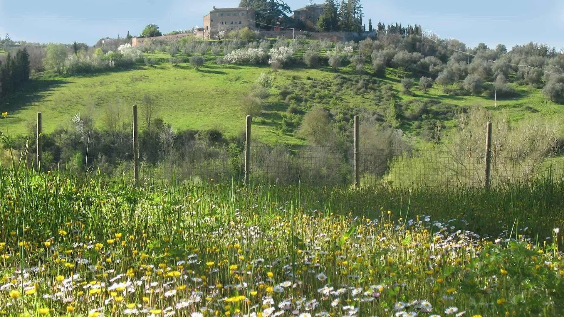 Agriturismo La Torretta Costalpino